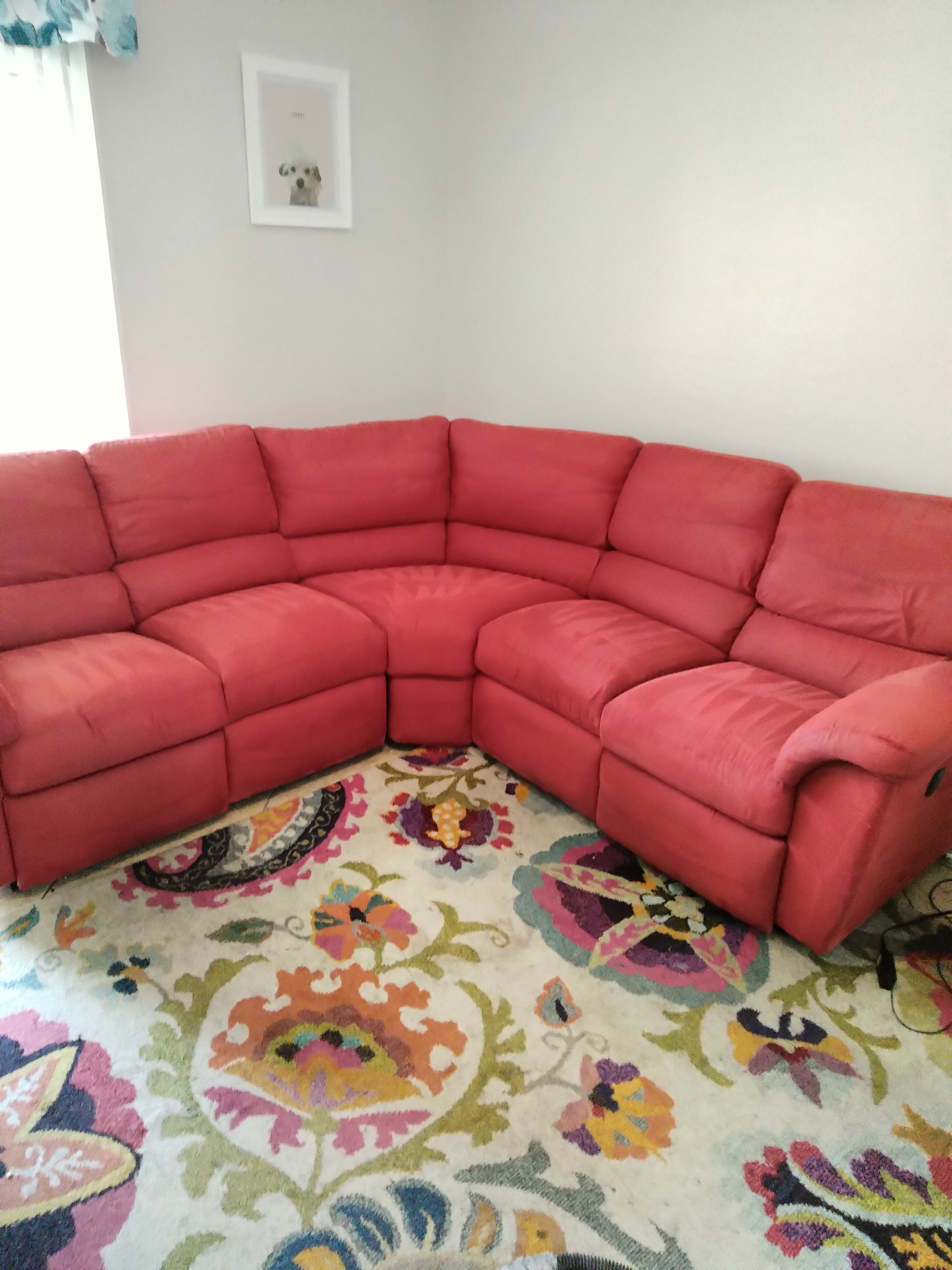 Professional Upholstery Cleaning