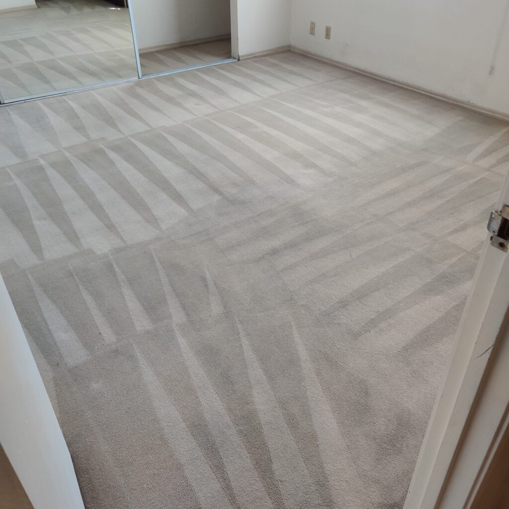 Your Carpet Will Look and Feel Like New Again! » TTSLV.com Professional