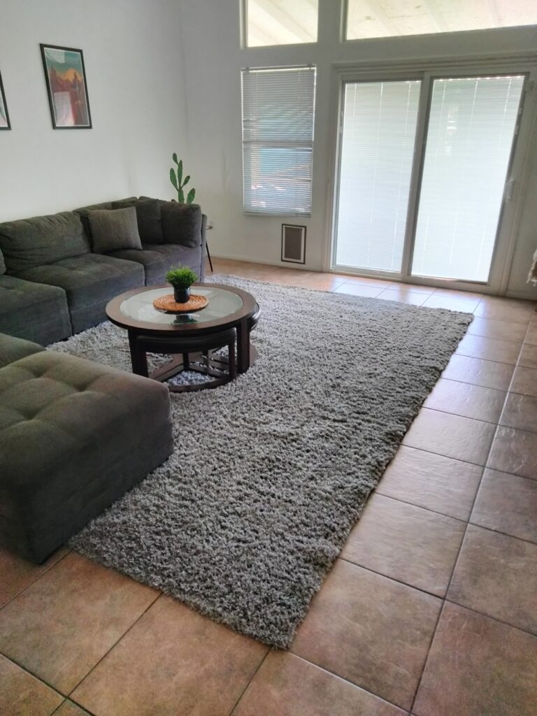 Area Rugs Cleaned back to like New condition! »